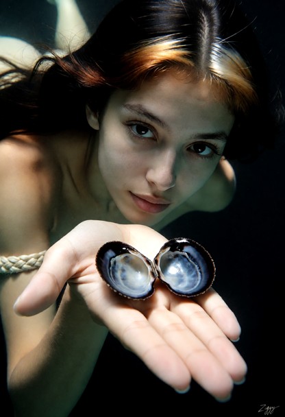 An underwater photograph, very close. One open shell fills the middle of the frame, held flat in her one open palm: t…
